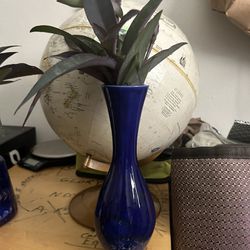 Ceramic Glass Vase 🏺 Live Purple Heart 💜 Wandering Jew Plant 🌱 