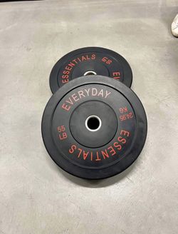 A pair of 55 bumper weights