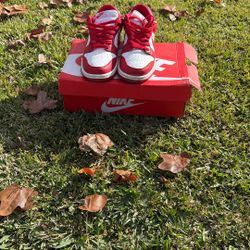 Red And White Nike Dunks Low