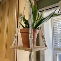Macrame Plant Hangers 