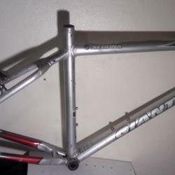 19.5 Giant Frame Sedona Model 