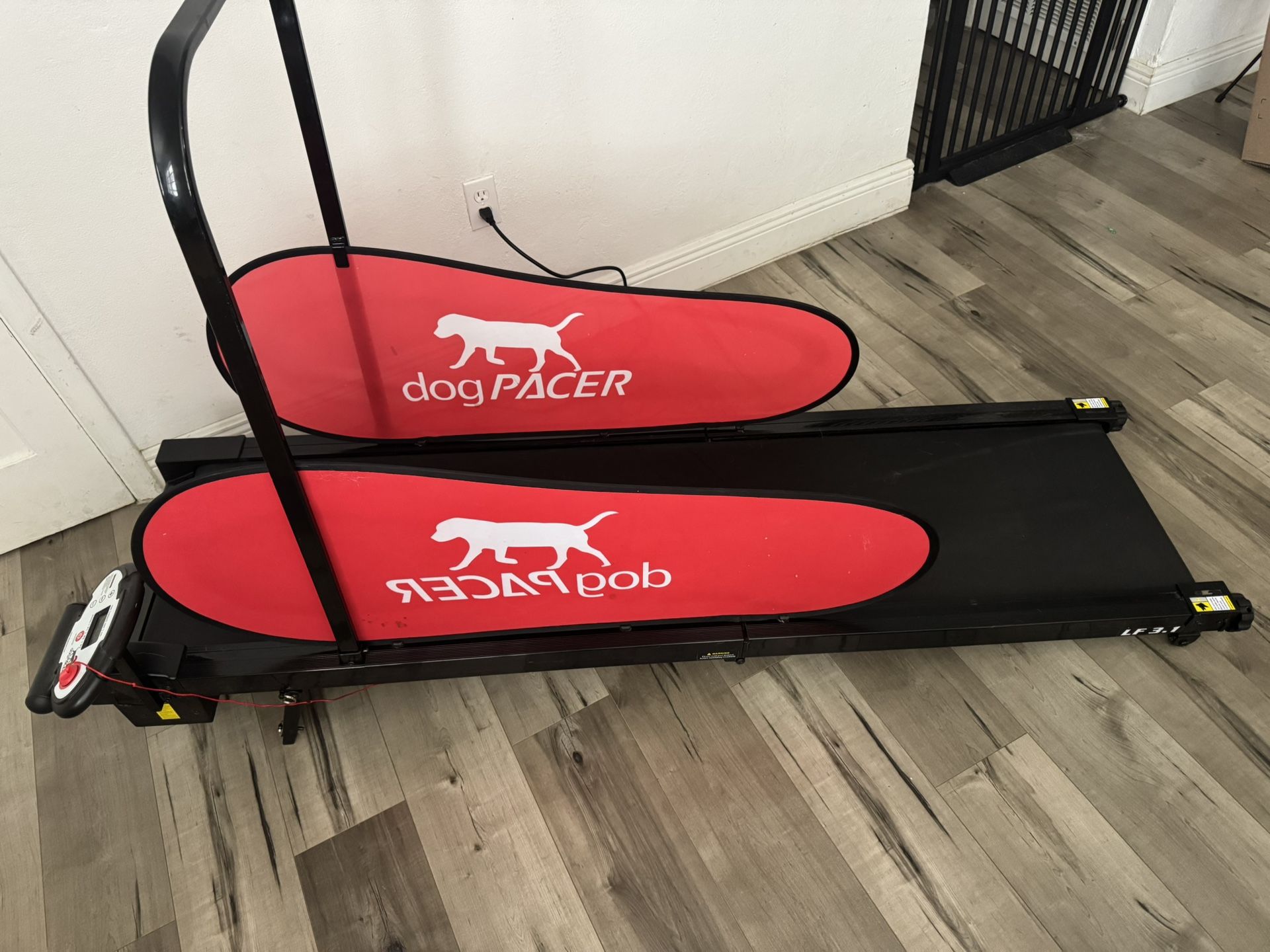 Dog Treadmill 