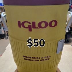 Igloo Coolers