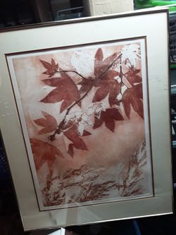 Pictures $5 each obo