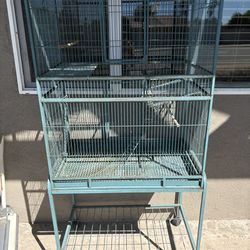 bird cage