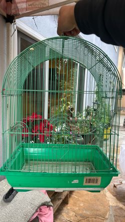 Bird Cage