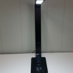 17" Desk Top Lamp 