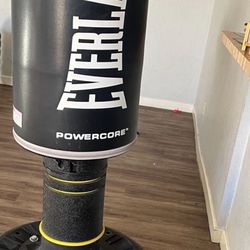 Everlast Punching Bag 