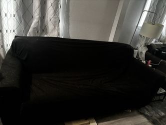 🛋️ COUCH FOR SALE: Slightly Used by Humans, Heavily Appreciated by Freeloaders!
