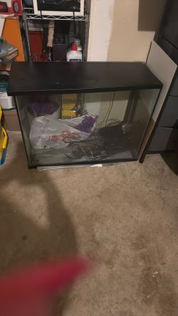 37 Gallon Fish Tank