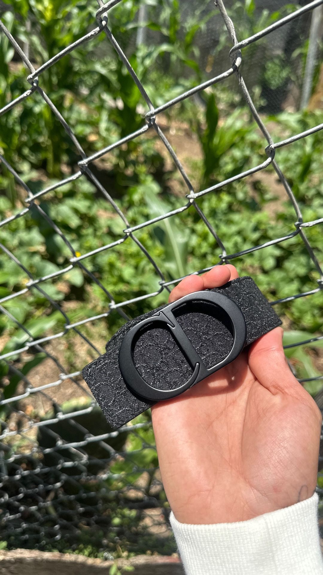 Designer Belt