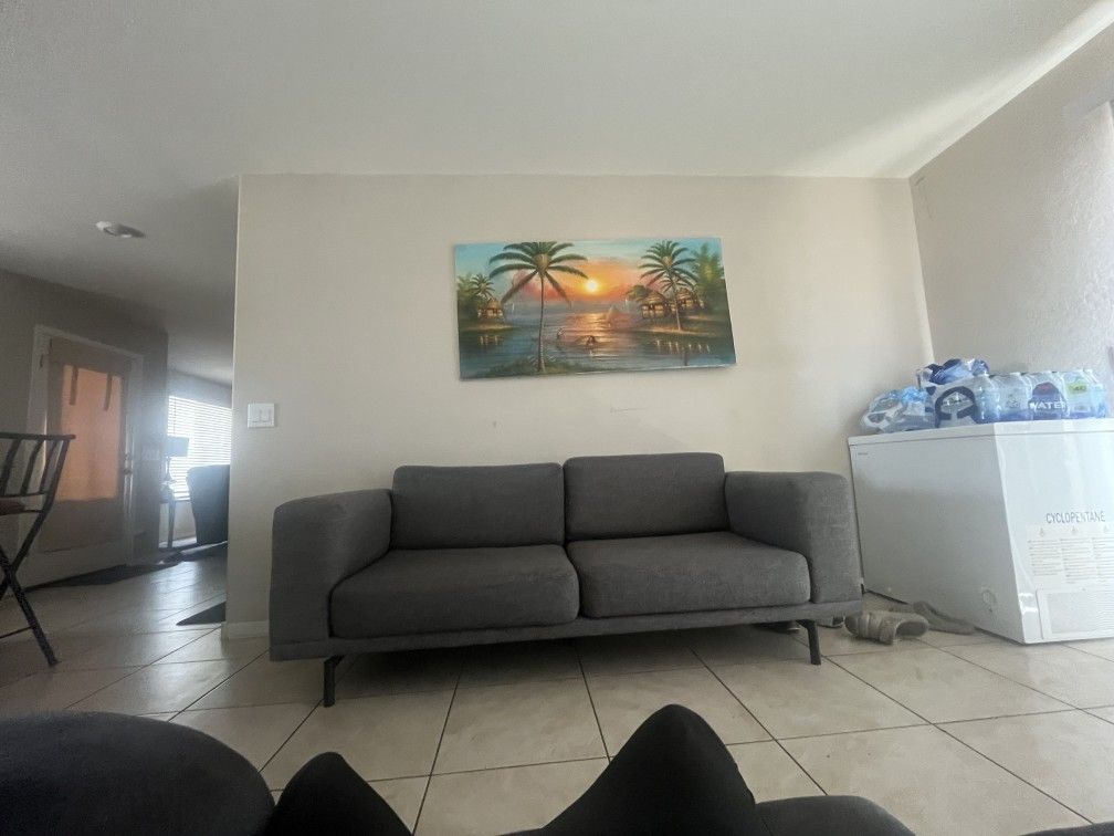 Gray Couch