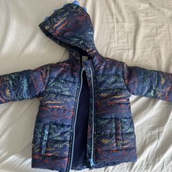 Dinosaur Rain Jacket 