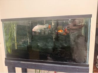 80G aquarium fish tank