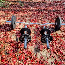 Olympic Curl Bar +Dumbbell Handles +70lb Cast Plates+Spring CollarsNew
