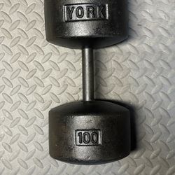 100lb York Roundhead Dumbbell 