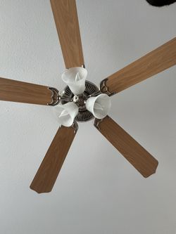 Ceiling Fan