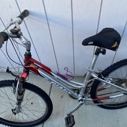 Giant Sedona Aluminum Step-Thru Comfort Bike (M)