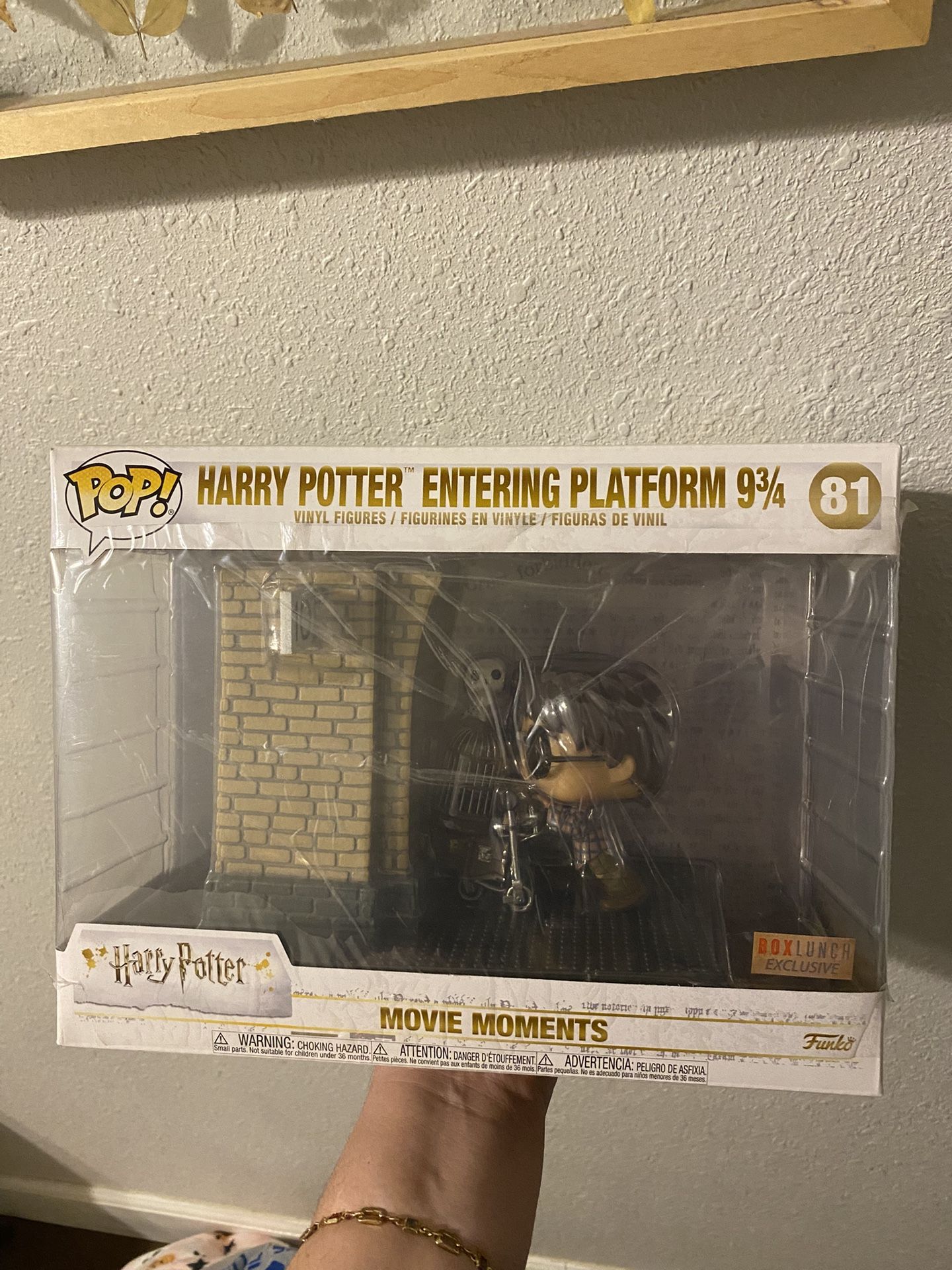 Harry Potter Funko Entering Platform