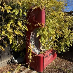 Free Dodge Pickup Bed