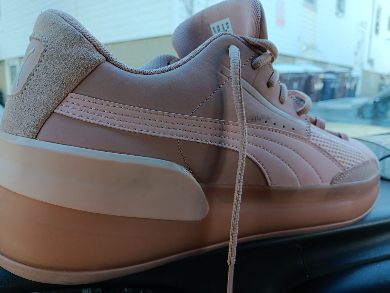 Clyde Puma