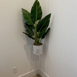 Fake Plant 