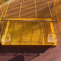 Yellow, bird cage