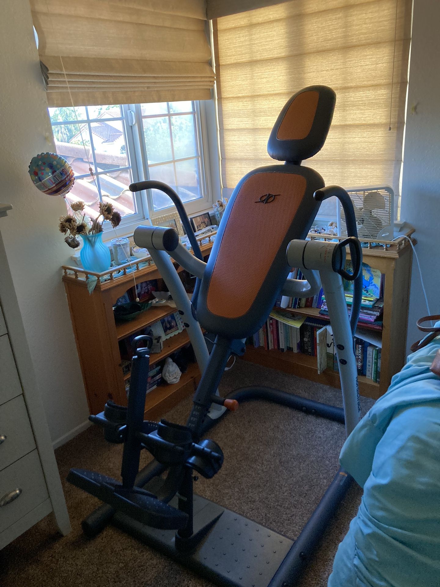 NordicTrack Revitalize Inversion Table For Back Problems/stretching