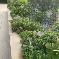 Irrigation Valves And Drip For Plants 