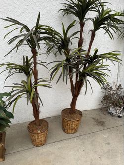 Fake plants