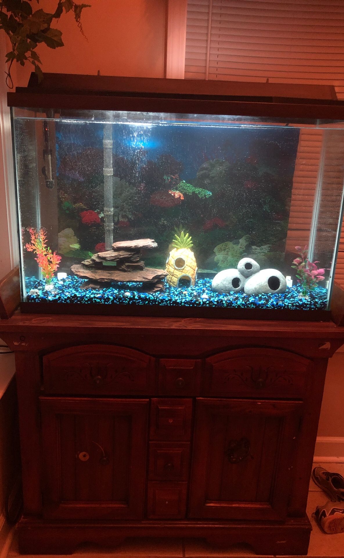 Fish tank