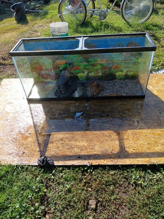 Aquarium 4 Ft X 2-1/2 $40 Dollars OBO Pls Call This Number (contact info removed)