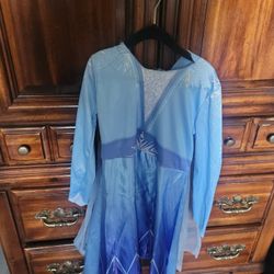 Elsa Costume 