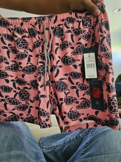Men's  Swimwear