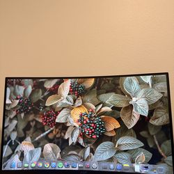 Acer 31.5 inches WQHD curved screen monitor 144 HZ refresh rate with AMD Radeon FreeSync Tech - 4 ms