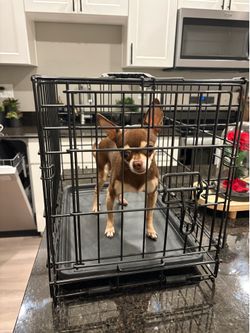 Small Dog Cage