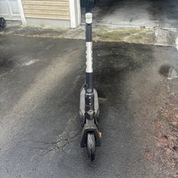 Bird Electric Scooter