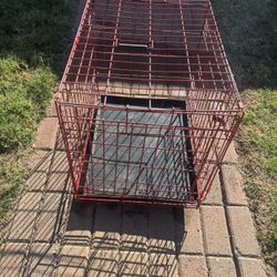Wire Pet Kennel