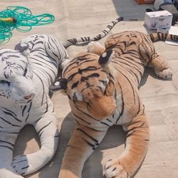 Pair Stuffed Animals 