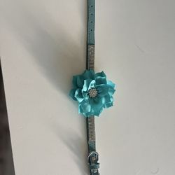 Beautiful Pet Collar