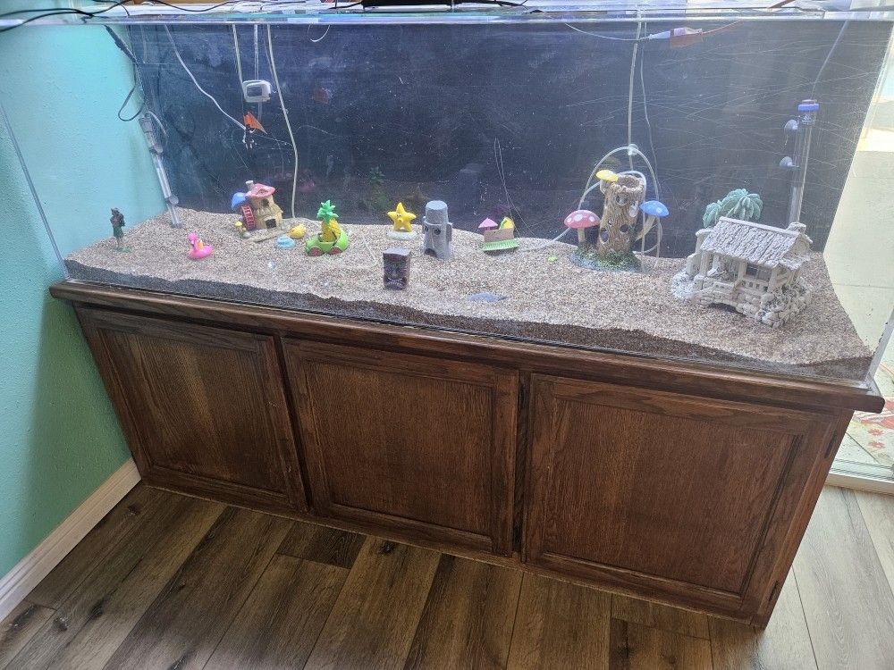 155 Gallon Fish Tank With Everything In The Tank Plus More