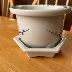 Chinese Cherry Blossom Hirado-Style