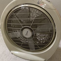Fan