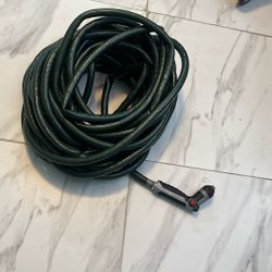 Hose 