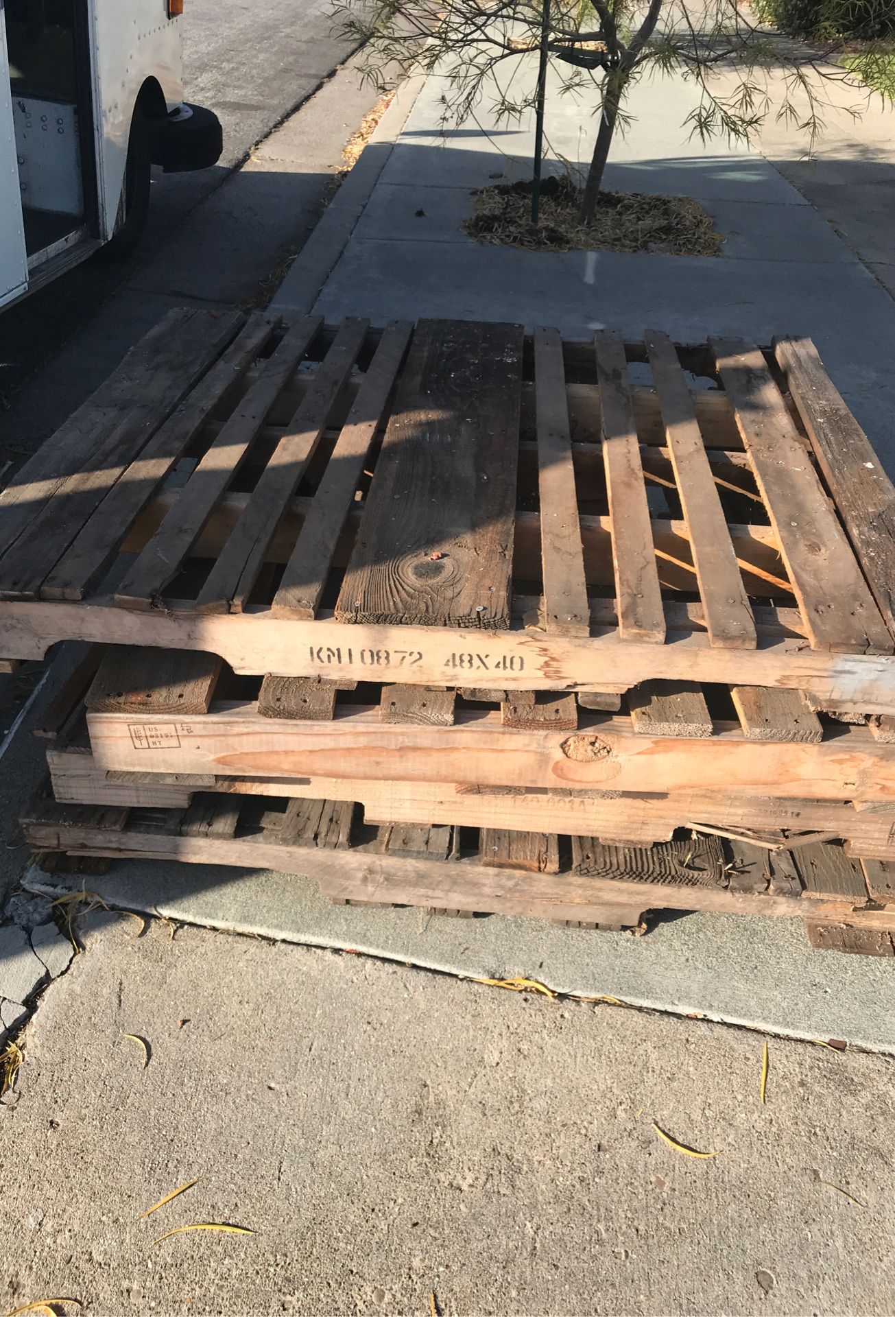 Wood Pallets