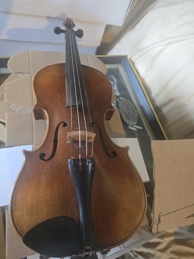 Violin