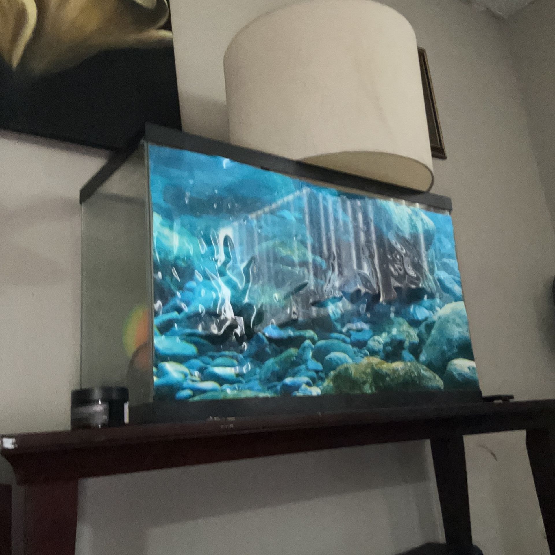Fish tank