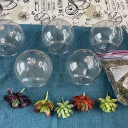5 hanging plastic terrarium globes 