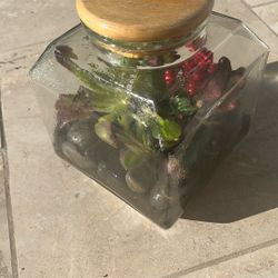 Glass Jar With Succulents