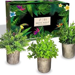 Artificial Plants in Pots – Set of 3: Orange Jasmine, Rosemary & Peanut Leaves